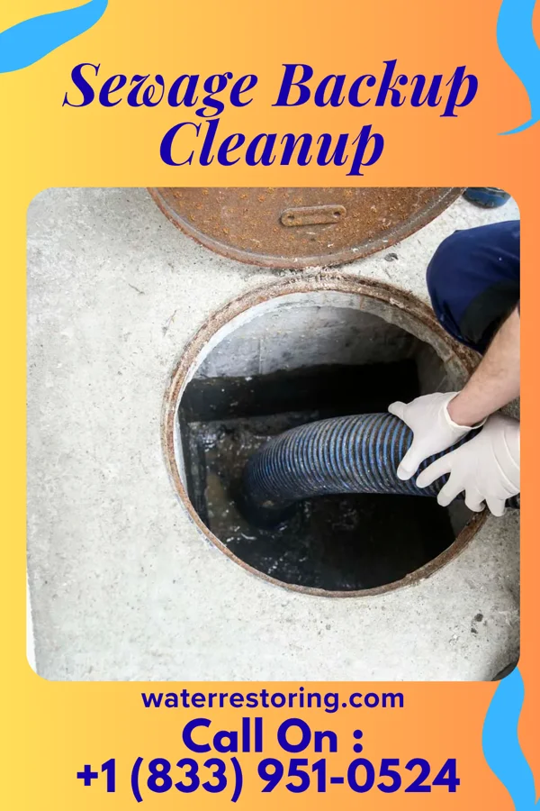 Sewage Backup Cleanup in Manchester, IL
